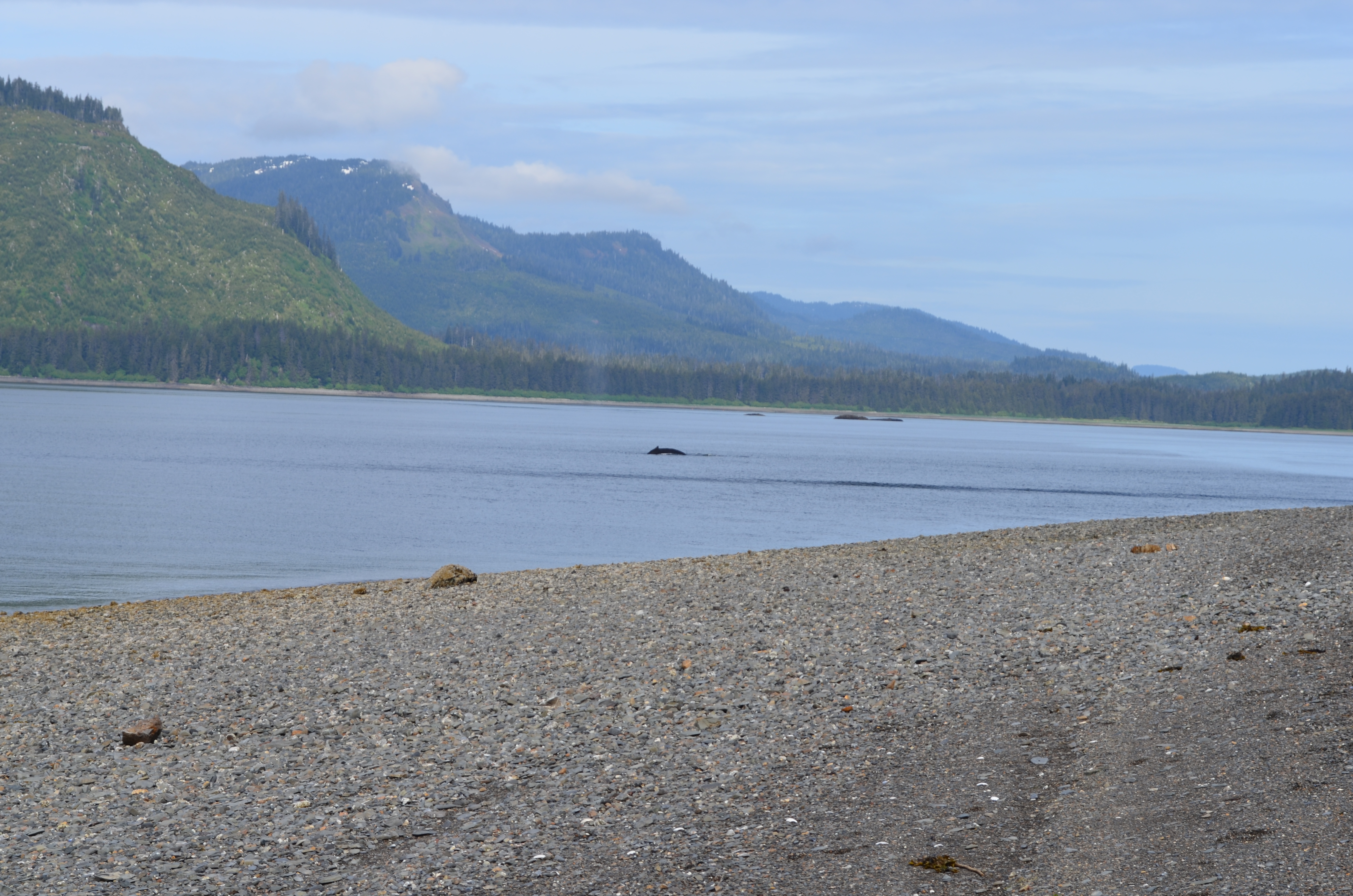 ./2017/08 - Alaska Cruise/10 - Icy Strait Point/DSC_0290.JPG